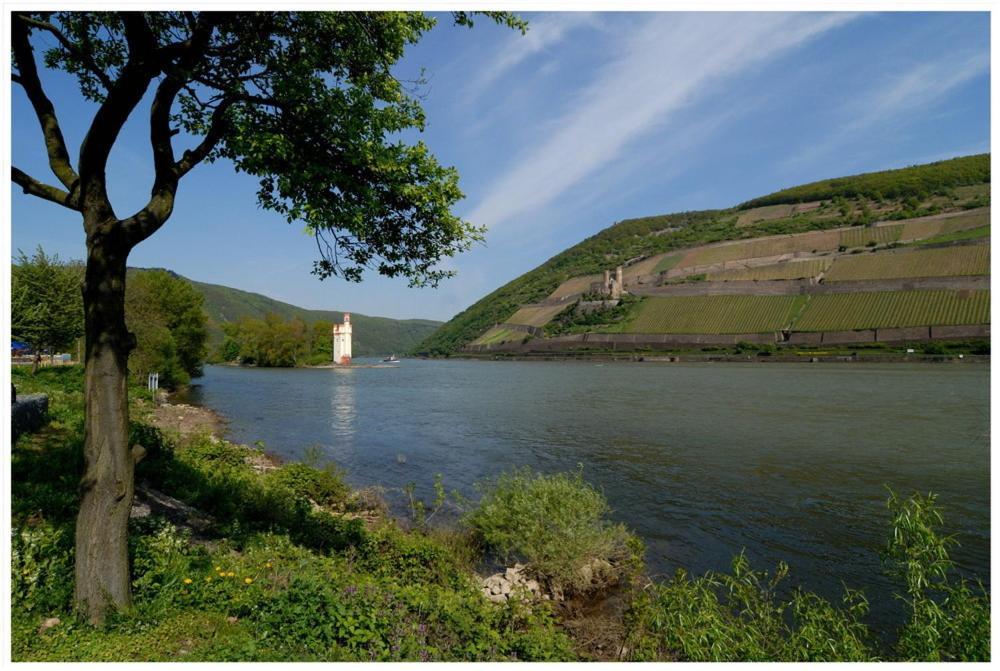Hotel Cafe Post Rüdesheim am Rhein Exteriér fotografie